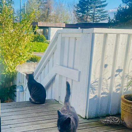Cool Familyhome Close To The Beach W Two Cuddly Cats Espergærde Extérieur photo