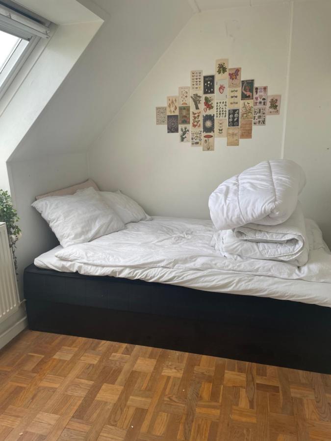 Cool Familyhome Close To The Beach W Two Cuddly Cats Espergærde Extérieur photo