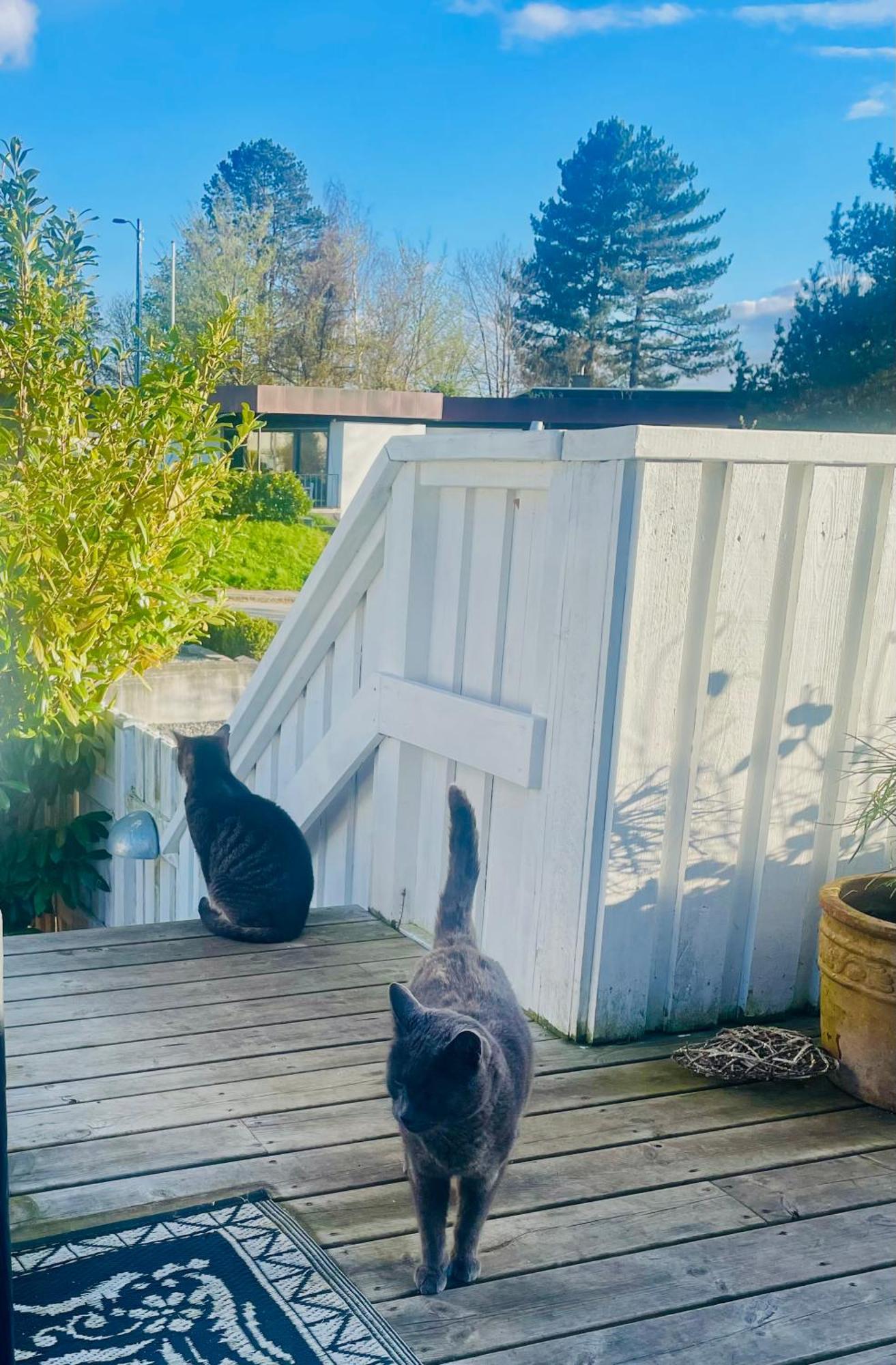 Cool Familyhome Close To The Beach W Two Cuddly Cats Espergærde Extérieur photo